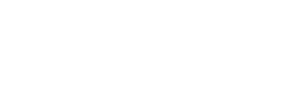 DirectPay white